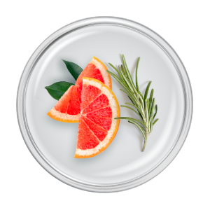 ingredient-grapefruit-rosemary-leaf-extract